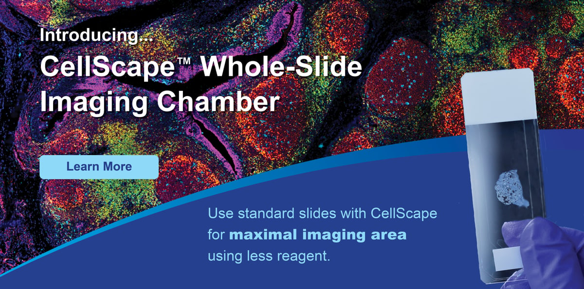 Introducing CellScape Whole-Slide Imaging Chamber