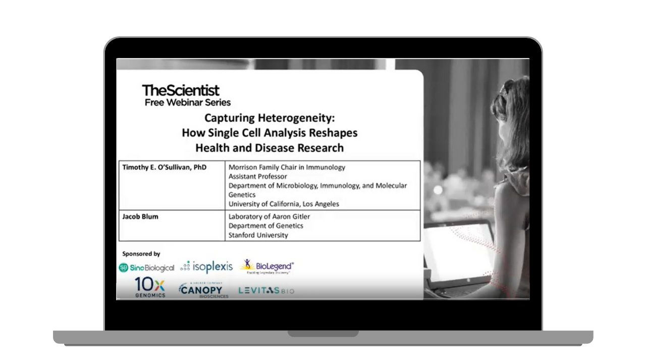 The Scientist Capturing Heterogeneity Laptop Screen